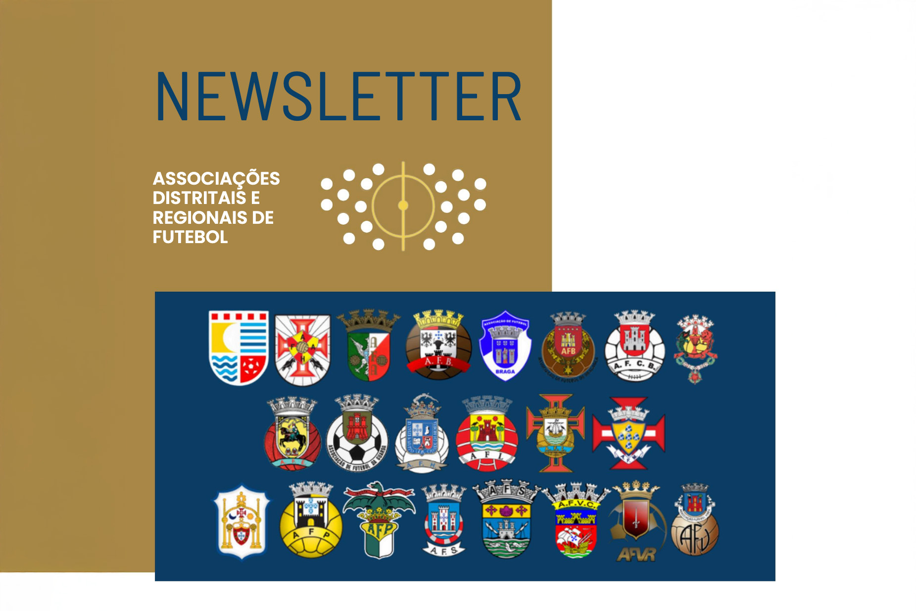 Edição N.º 19 da Newsletter das ADR